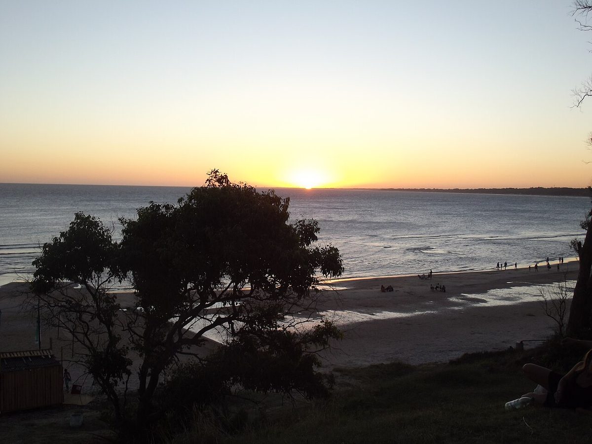 The pine-shaded beach at Atlantida on the Costa de Oro, a classic summer-rental stretch
