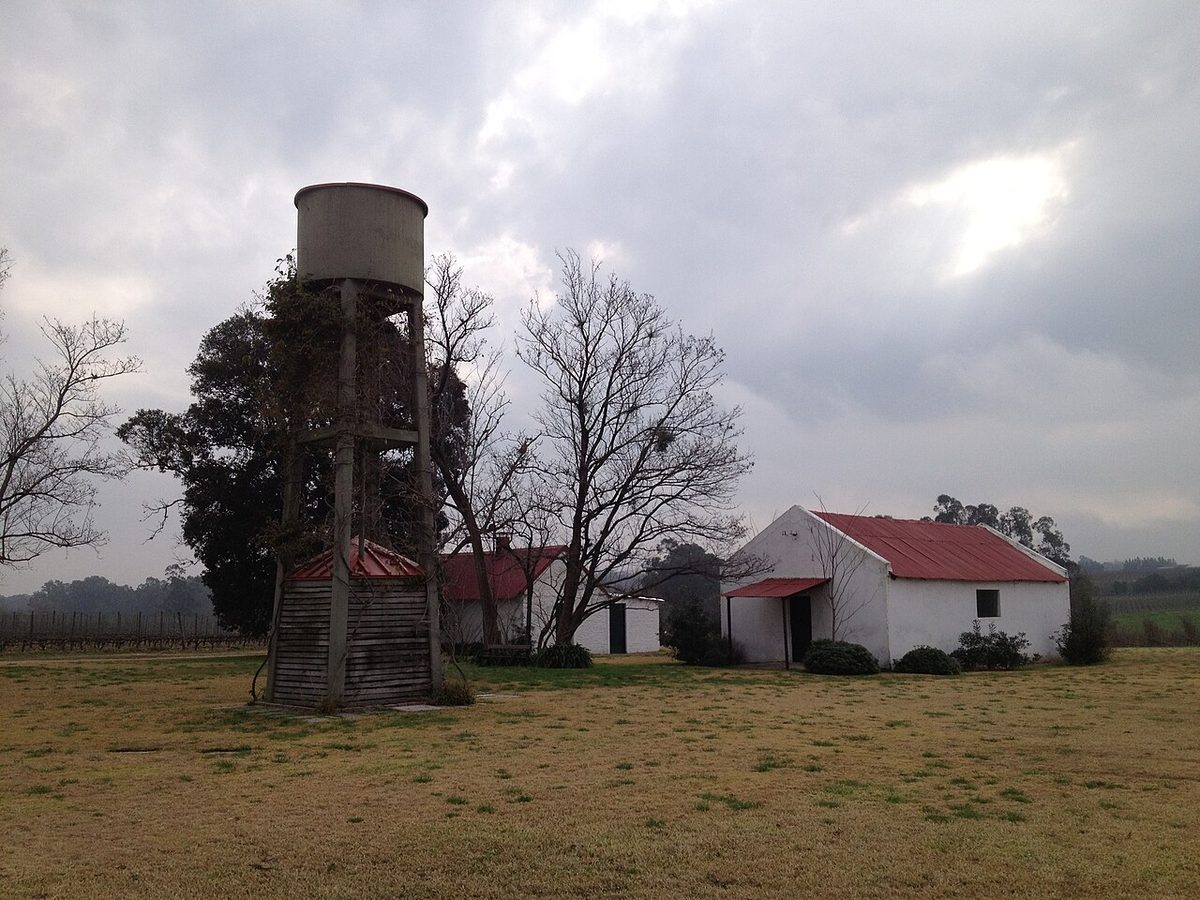 The Bodega Bouza estate, one of the closest wineries to Montevideo