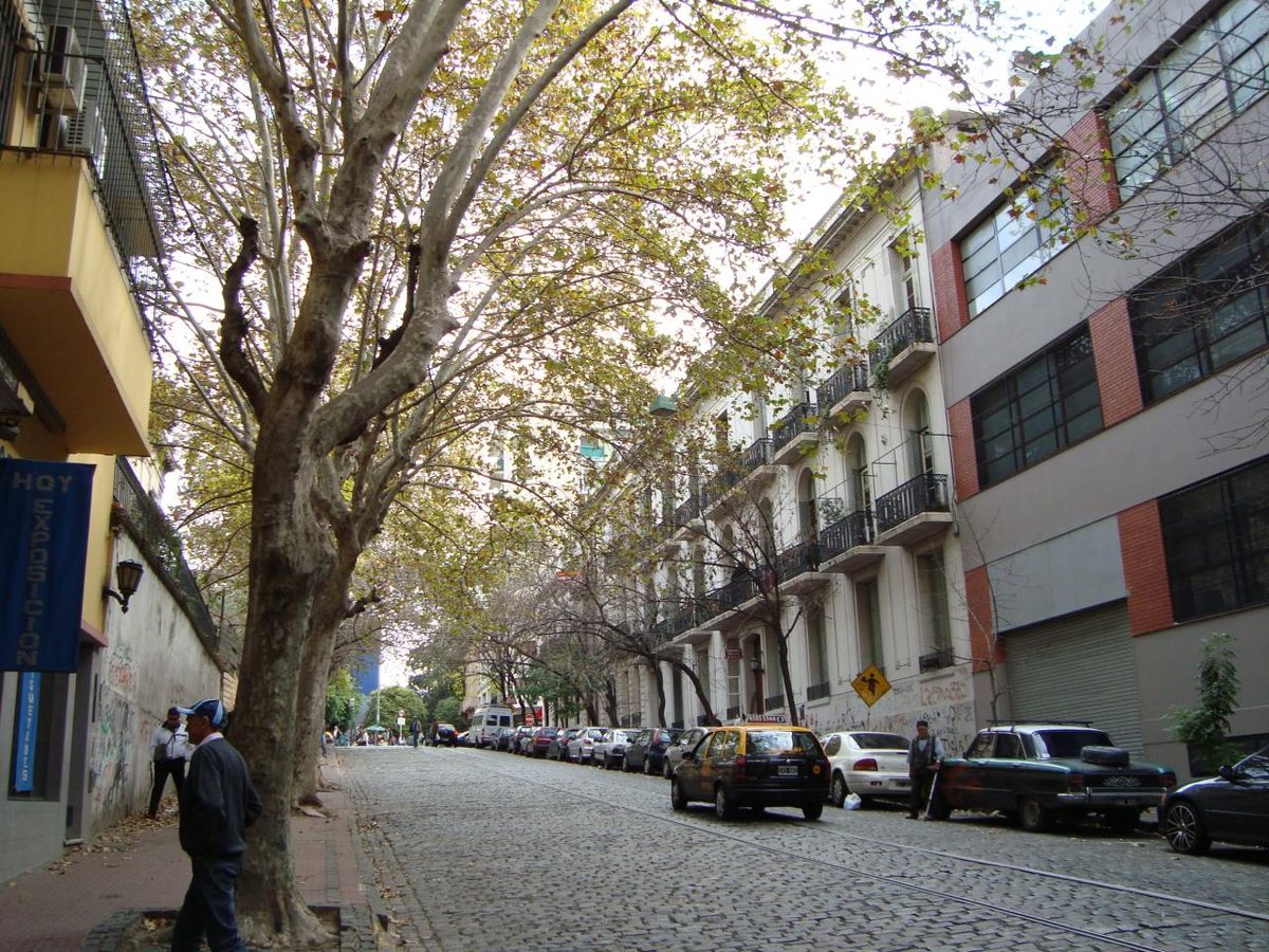 Cobbled street in the San Telmo neighborhood of Buenos Aires, Argentina