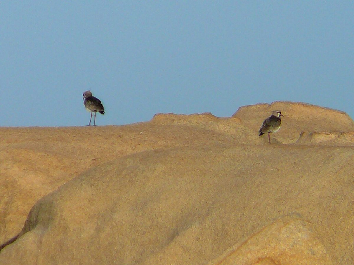 Sand dunes and lighthouse at Cabo Polonio on Uruguay's wild Rocha coast