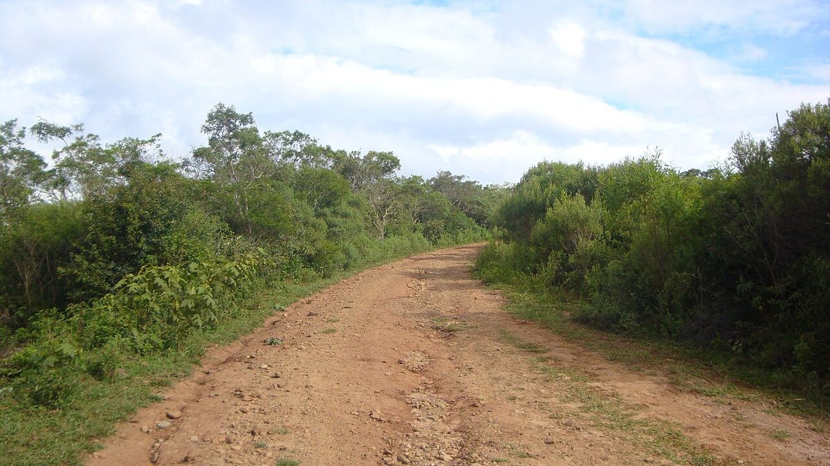 A ripio gravel road leading toward the wild coast of Rocha, Uruguay
