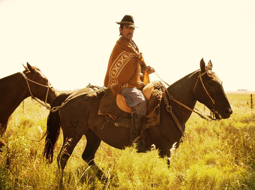 A Uruguayan gaucho on horseback herding cattle across open country