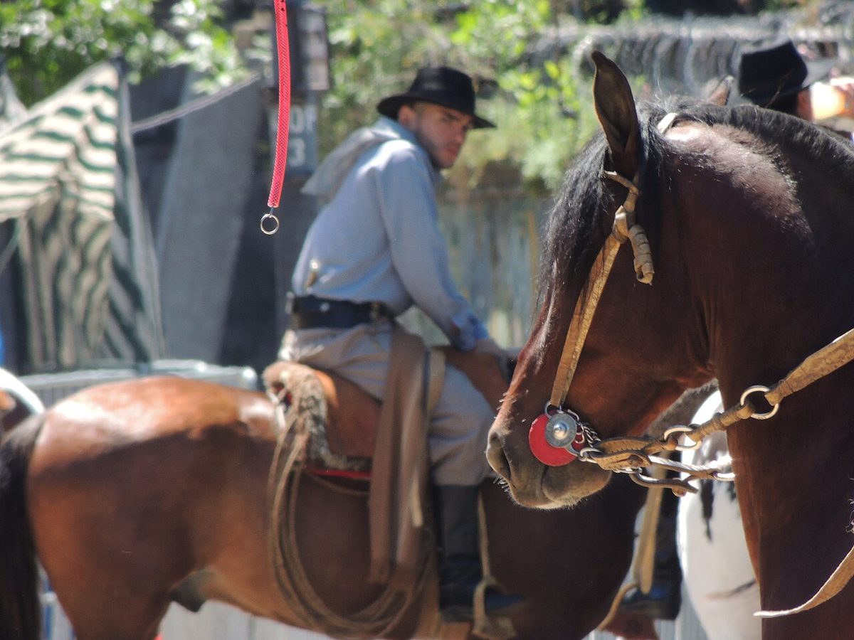Uruguayan gaucho on horseback in traditional dress at the Prado showgrounds in Montevideo