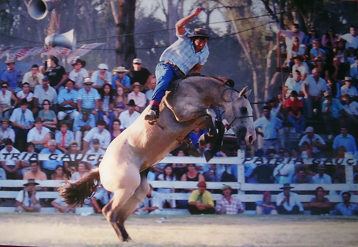 A rider on a bucking criollo horse during a jineteada rodeo at a gaucho festival in Tacuarembo