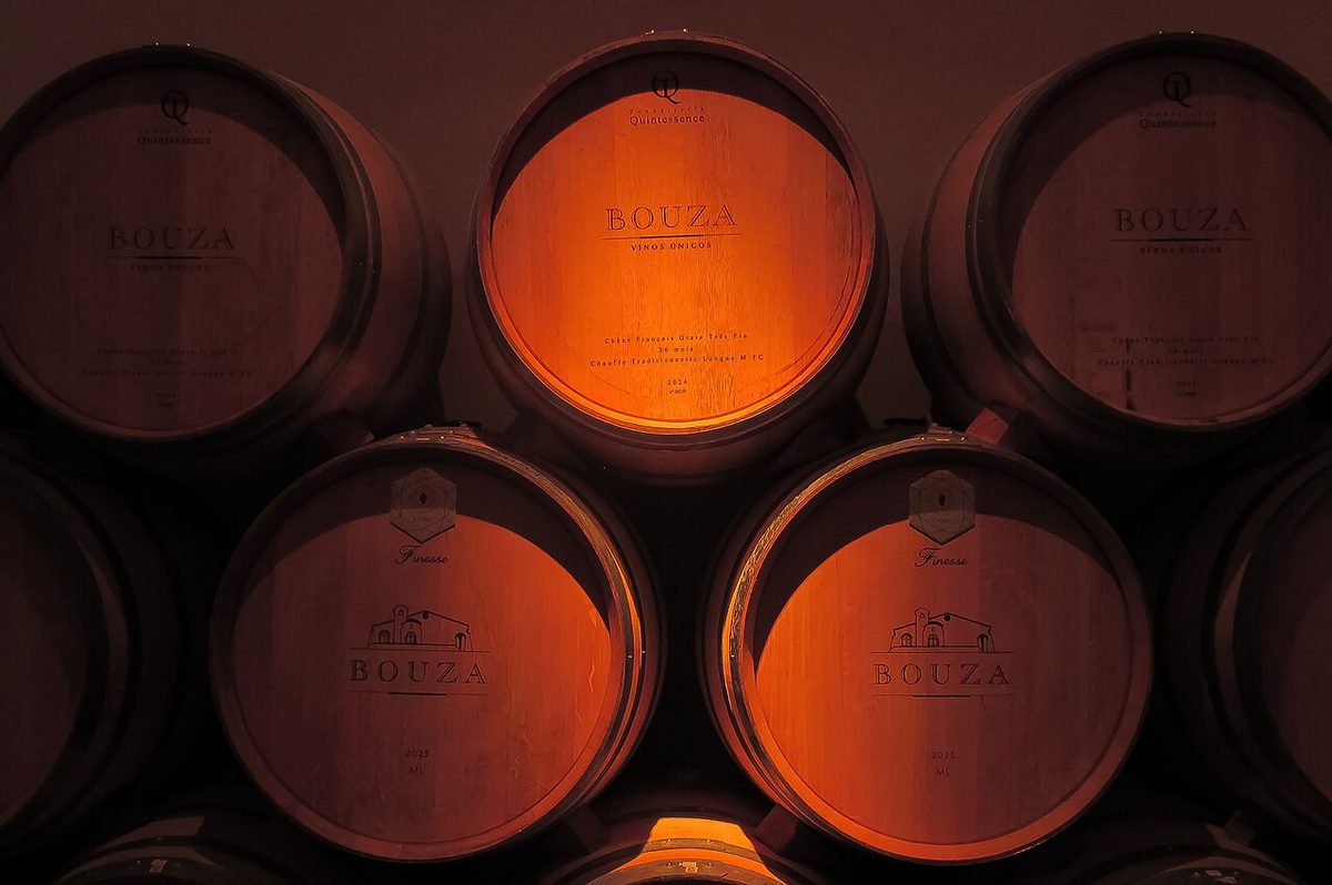 Oak barrels resting in a winery cellar near Montevideo