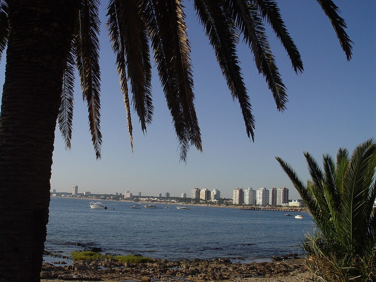 Calm bay water and the yacht marina along Playa Mansa in Punta del Este, Uruguay