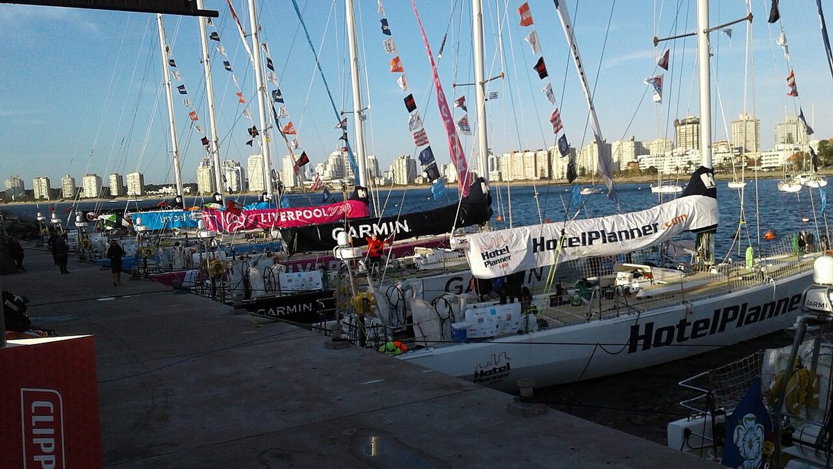 Boats in the Punta del Este harbour, where sea-lion tours depart