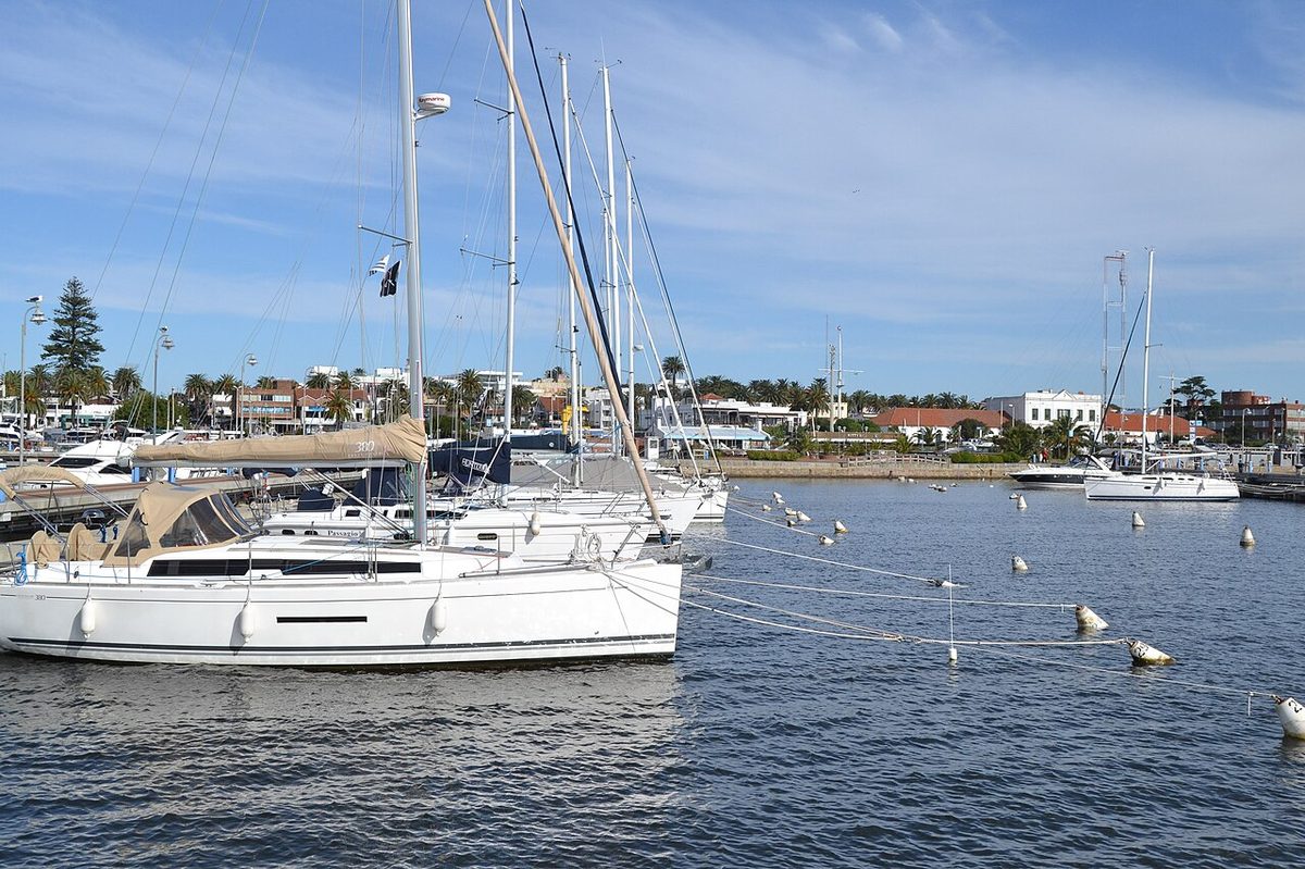 The fishing port at Punta del Este where boats land the fresh seafood served at punta del este restaurants