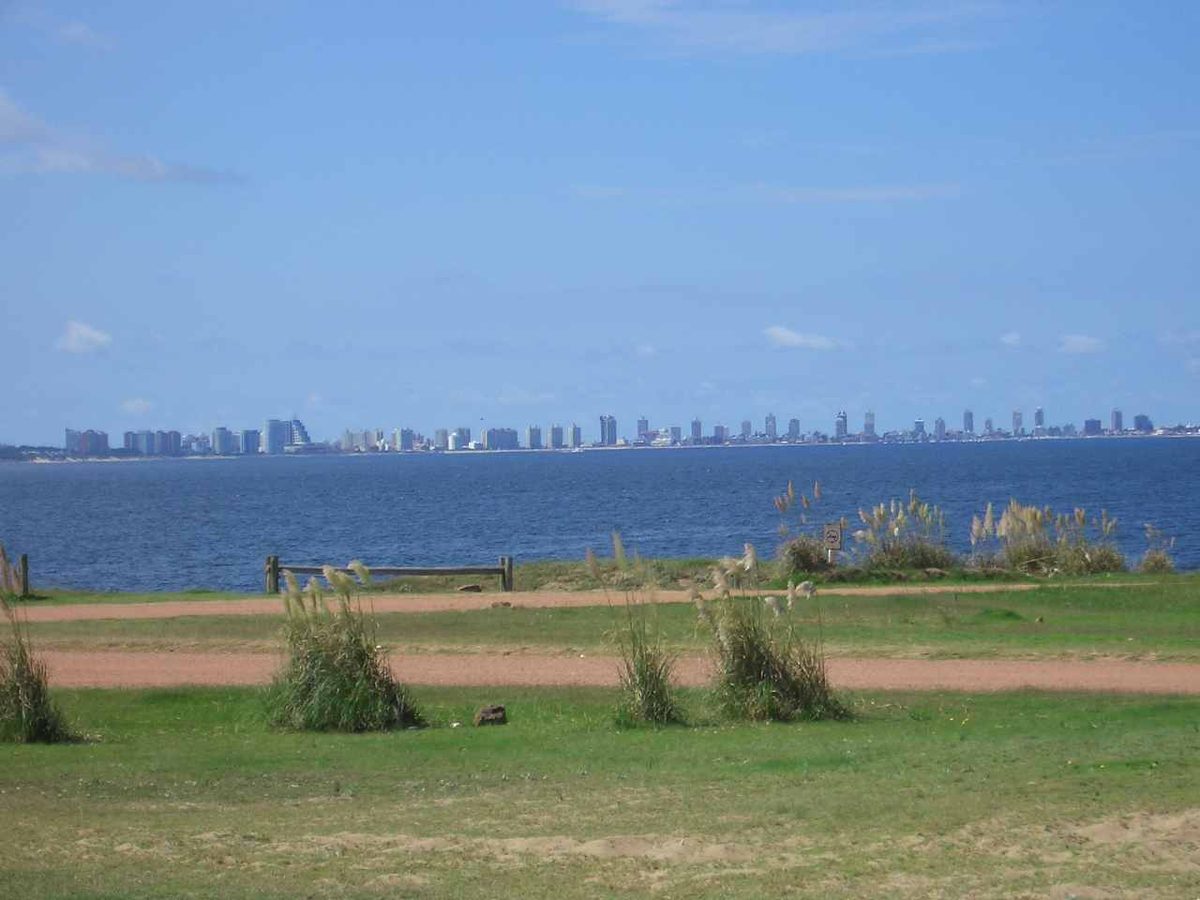 High-rise apartment towers along the Playa Mansa skyline, the classic view when deciding where to stay in Punta del Este