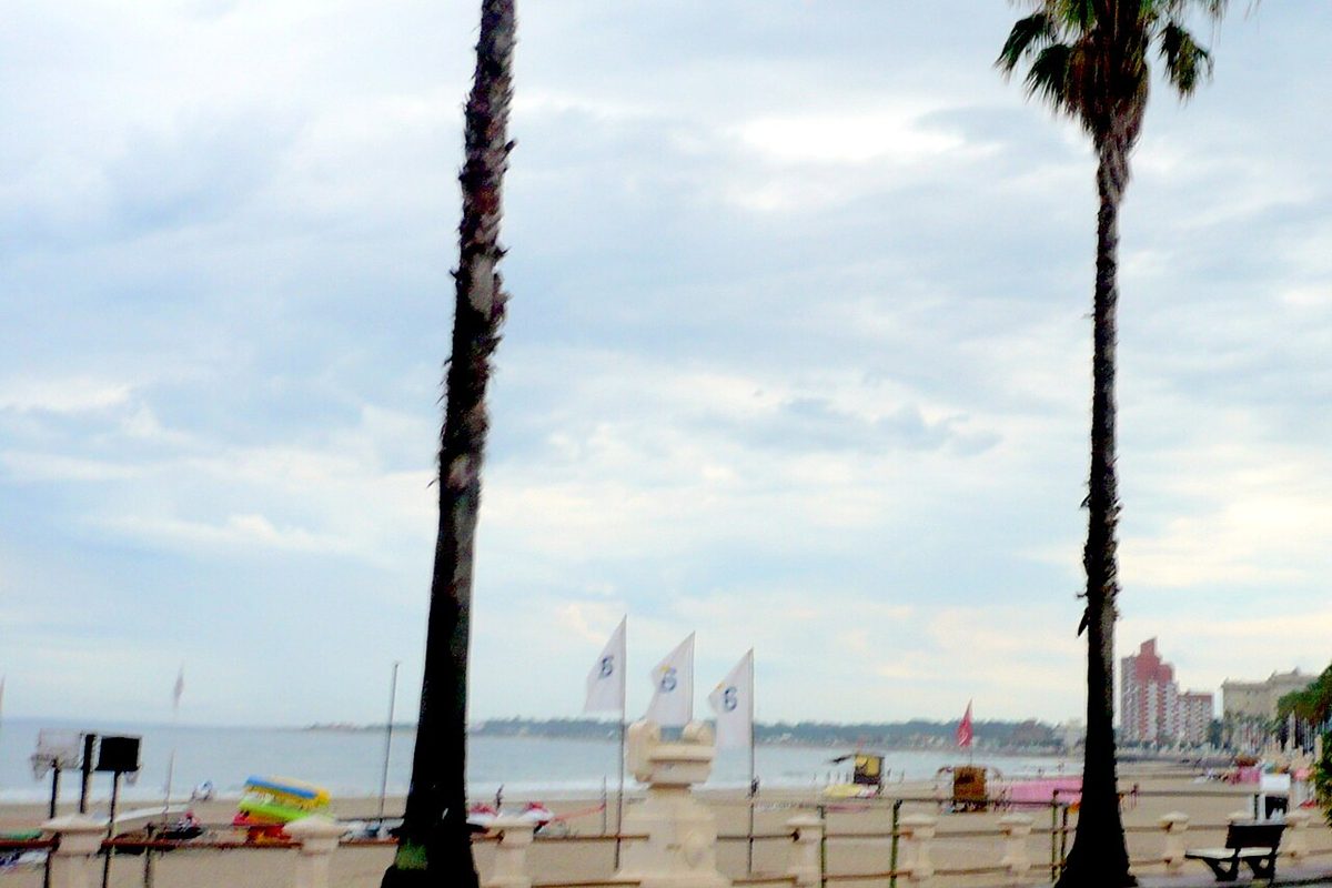 The seafront promenade and palm trees along the Rambla de los Argentinos in Piriapolis Uruguay