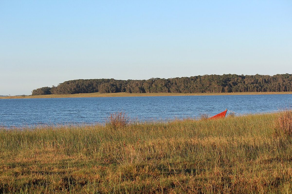 The wild lagoon coast of Rocha at Laguna de Rocha, reached on gravel tracks off Ruta 10, Uruguay