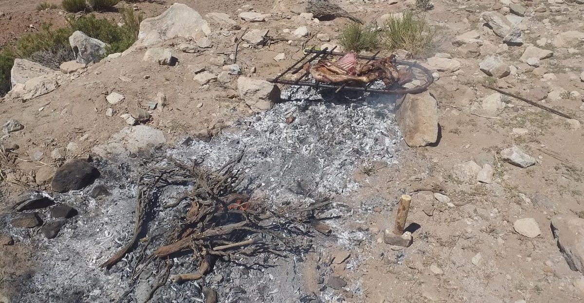 Cuts of beef grilling over wood coals at a Uruguayan parrilla for a summer asado