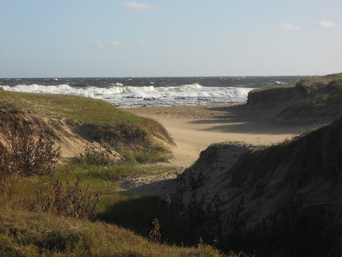 Surfing in Uruguay at La Paloma's Playa de los Botes in Rocha, with Atlantic waves rolling onto the sand