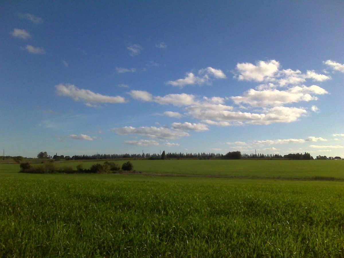 Open countryside near Colonia Suiza, the kind of campo setting for inland glamping